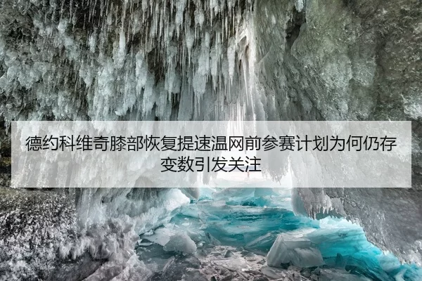 德约科维奇膝部恢复提速温网前参赛计划为何仍存变数引发关注
