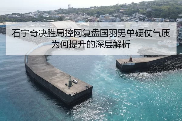 石宇奇决胜局控网复盘国羽男单硬仗气质为何提升的深层解析