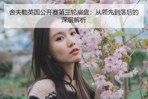 she-fu-lei-ying-guo-gong-kai-sai-di-san-lun-beng-pan-cong-ling-xian-dao-luo-hou-de-shen-ceng-jie-xi-2-834.jpg