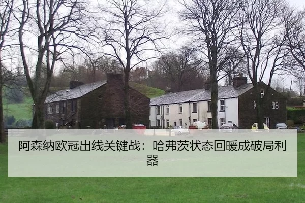 a-sen-na-ou-guan-chu-xian-guan-jian-zhan-ha-fu-ci-zhuang-tai-hui-nuan-cheng-po-ju-li-qi-2-937.jpg