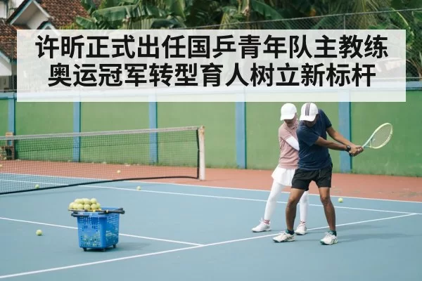 table tennis coach training